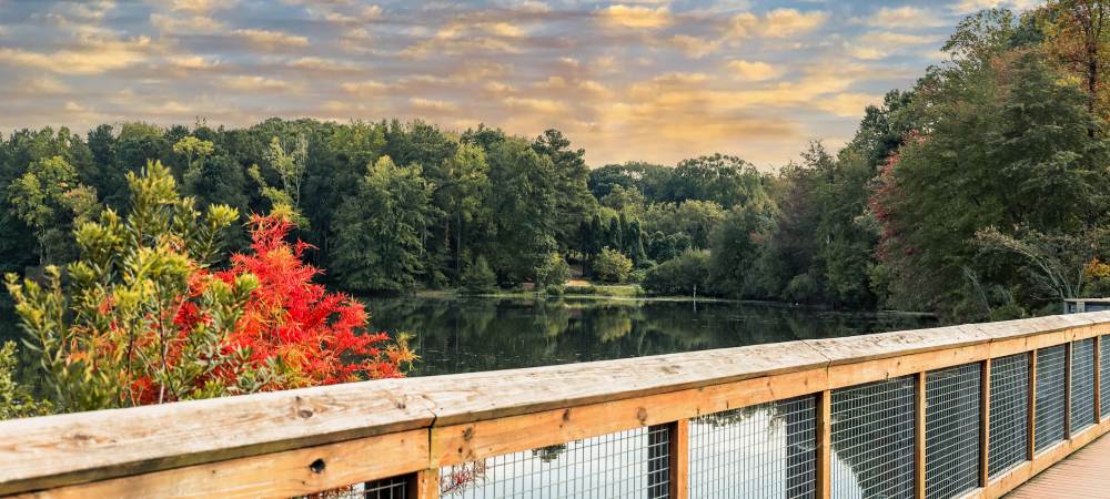 Welcome New Patients to Abundant Life Healthcare in Lawrenceville, GA